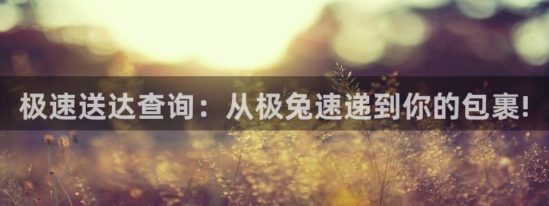 狗子28退款