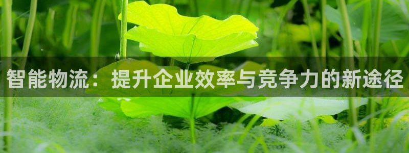 狗子28pc预测：智能物流：提升企业
