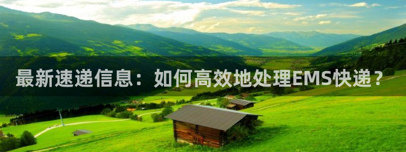 自行车狗子28是什么意思