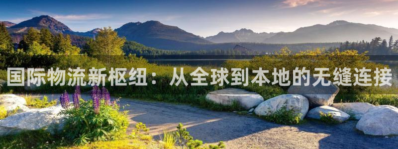 狗子28怎么注册下载：国际物流新枢纽