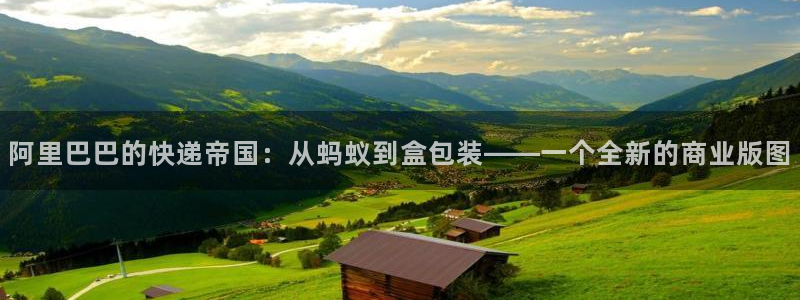 狗子28软件堵什么反什么：阿里巴巴的