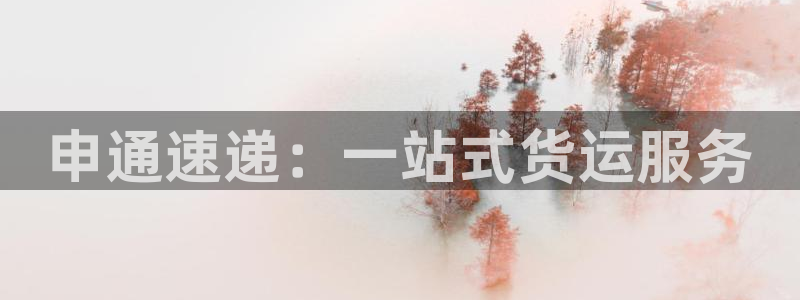 狗子28充值不处理：申通速递：一站式