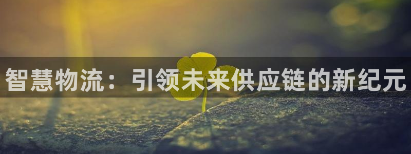 狗子28app怎么注册账号：智慧物流