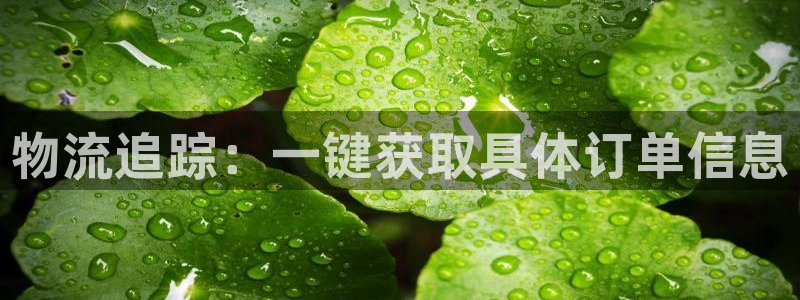 狗子28不给提现：物流追踪：一键获取