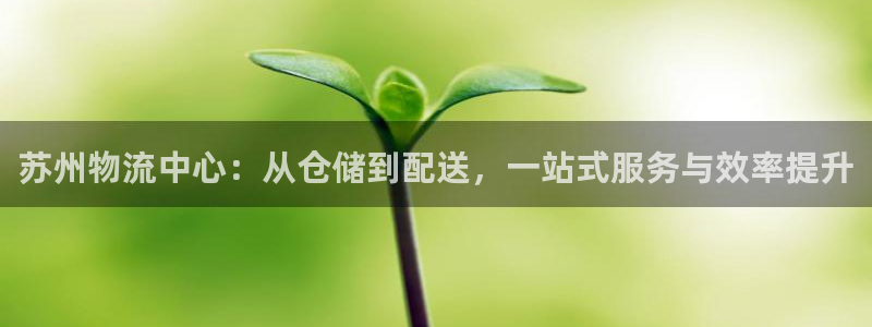 狗子28黑吗：苏州物流中心：从仓储到