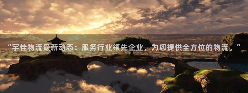 狗子28提现不到账：“宇佳物流最新动