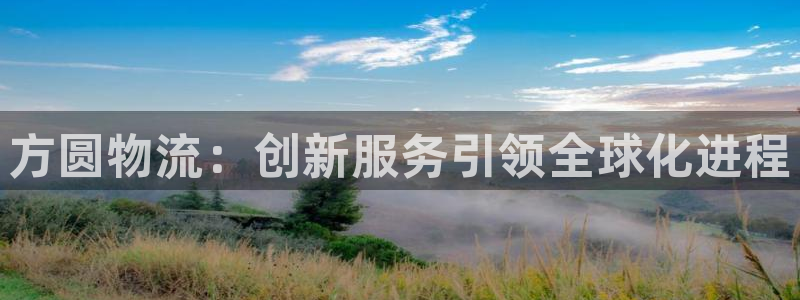 狗子28游戏：方圆物流：创新服务引领