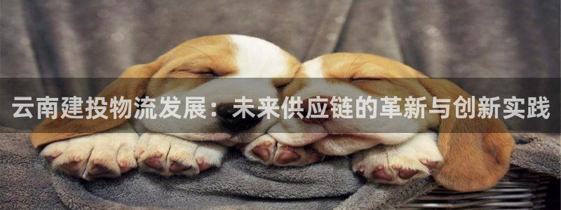 狗子28加拿大是什么意思：云南建投物