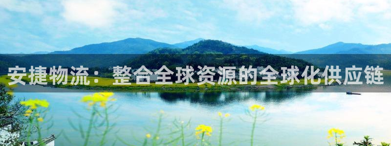狗子28是正规平台吗：安捷物流：整合