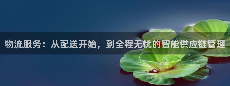 狗子28APP是干什么的：物流服务：