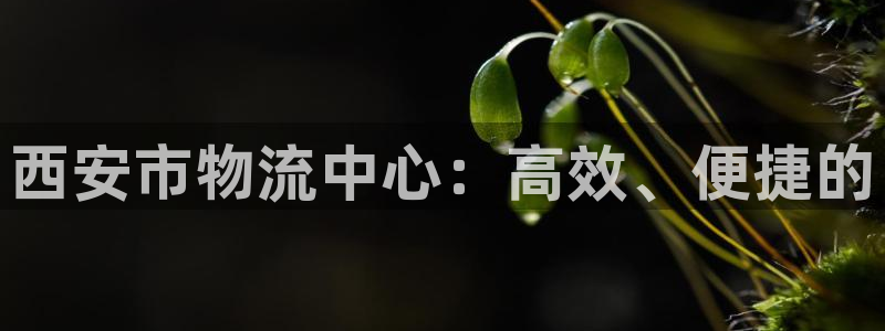 狗子28是正规平台吗：西安市物流中心