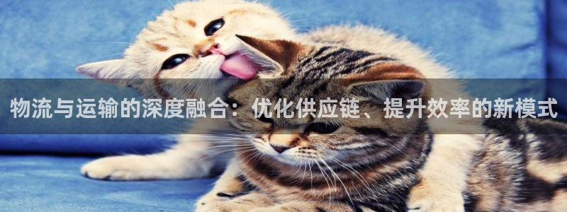 狗子28预测加拿大：物流与运输的深度