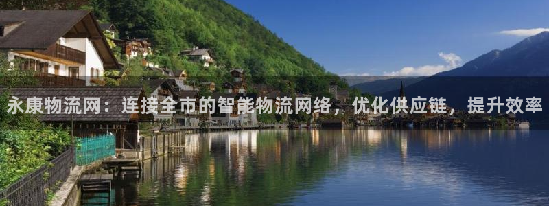 狗子28加拿大预测：永康物流网：连接全市的智能物流网络，优化