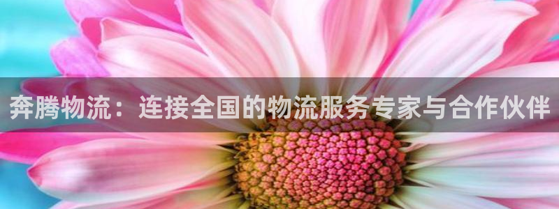 狗子28cn：奔腾物流：连接全国的物