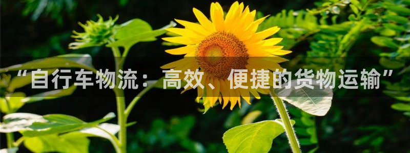 狗子28人头费：“自行车物流：高效、