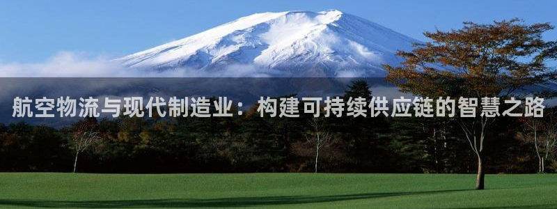 狗子28官方官网版：航空物流与现代制