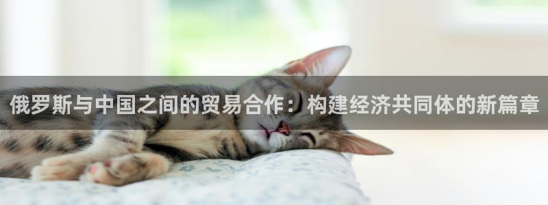 狗子28娱乐官网网页：俄罗斯与中国之