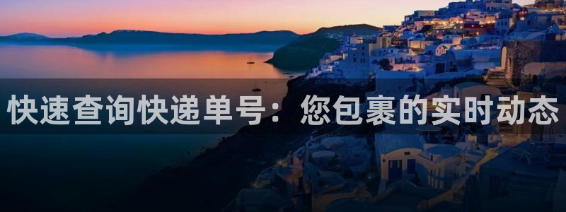 狗子28怎么申请代理：快速查询快递单