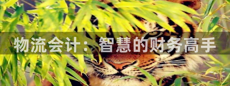 狗子28登录网：物流会计：智慧的财务高手