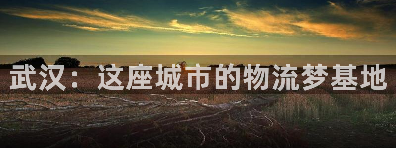 狗子28注册用户名是什么：武汉：这座