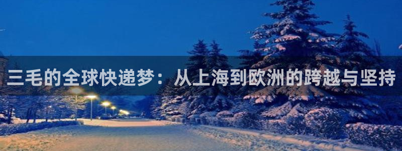 狗子28ip被限制怎么解决：三毛的全