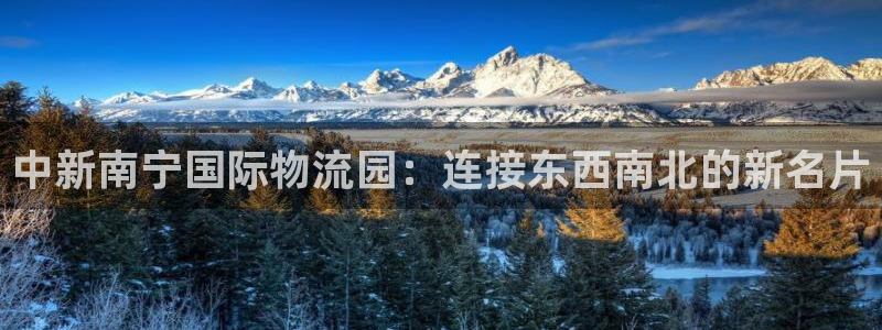 狗子28反水怎么算：中新南宁国际物流