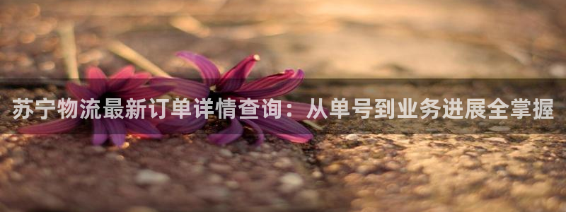 狗子28起来的符号：苏宁物流最新订单