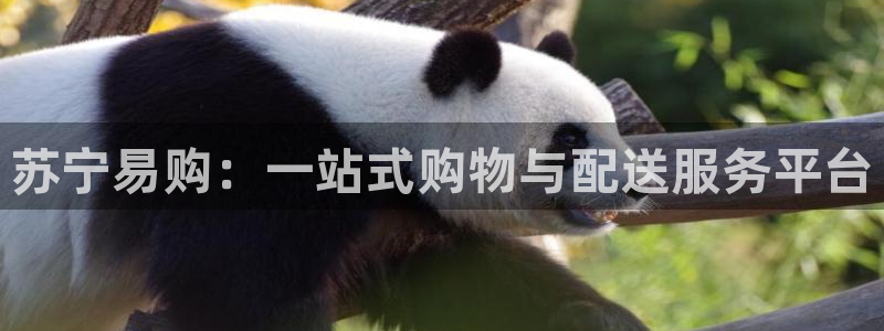 狗子28游戏：苏宁易购：一站式购物与