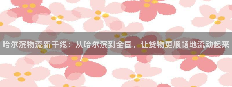 狗子28下载不了：哈尔滨物流新干线：