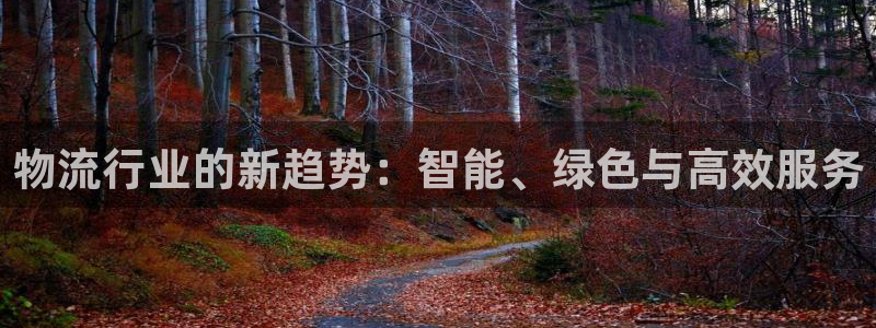 狗子28官网下载链接：物流行业的新趋