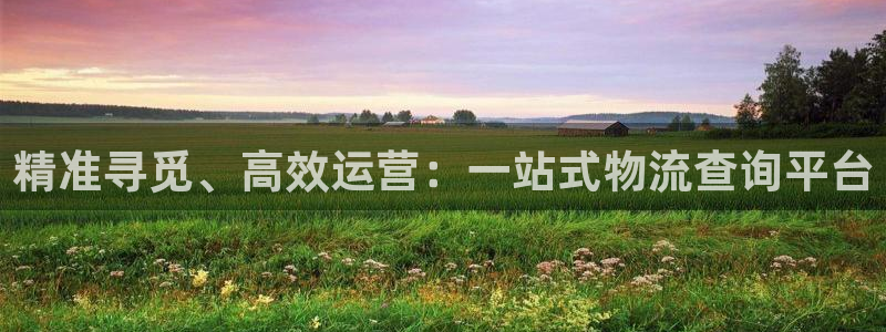 狗子28官方平台：精准寻觅、高效运营