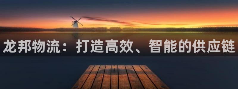 狗子28电子：龙邦物流：打造高效、智