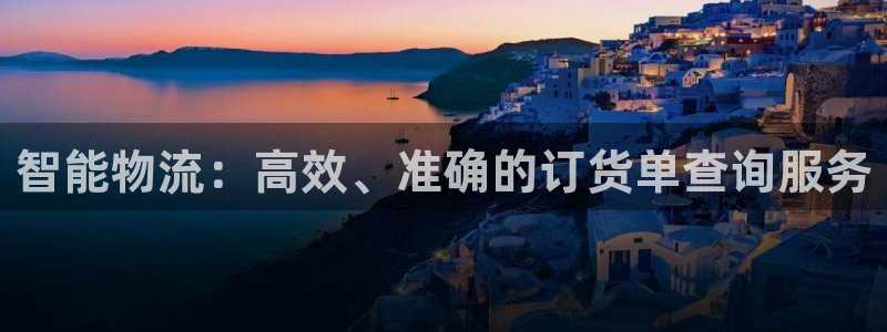 狗子28官网入口正版：智能物流：高效