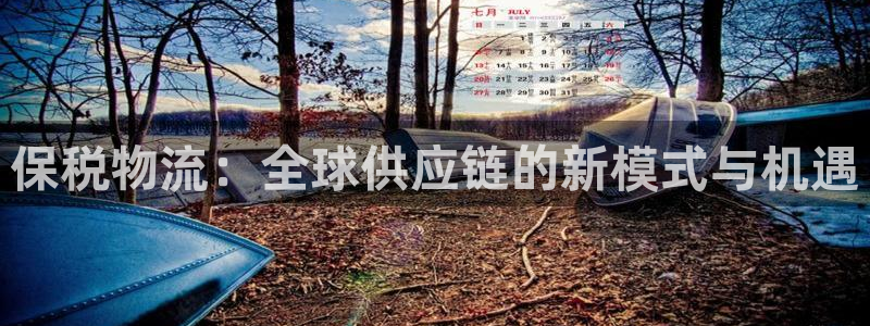 狗子28软件堵什么反什么：保税物流：