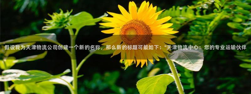 狗子28怎么下载教程：假设我为天津物