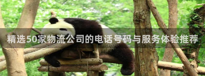 狗子28初始资金密码是什么：精选50