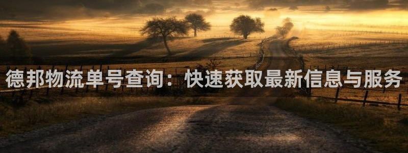 狗子28预测：德邦物流单号查询：快速