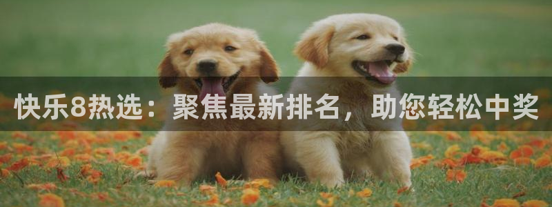 24直播免费篮球直播：快乐8热选：聚焦最新排名，助您轻松中奖
