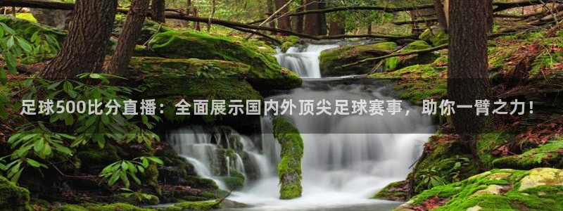 24直播看球：足球500比分直播：全面展示国内外顶尖足球赛事，助你一臂之力！