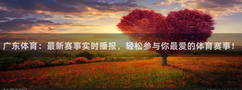 24直播网中超：广东体育：最新赛事实时播报，轻松参与你最爱的体育赛事！
