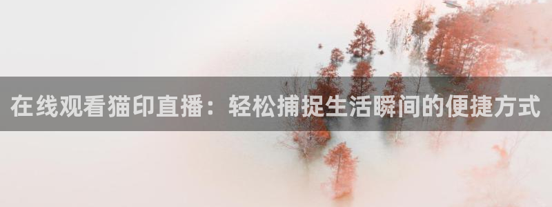 足球24直播网：在线观看猫印直播：轻松捕捉生活瞬间的便捷方式