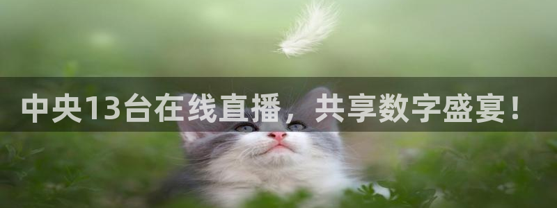 24直播体育：中央13台在线直播，共享数字盛宴！
