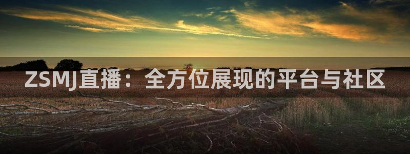 nba24直播：ZSMJ直播：全方位展现的平台与社区