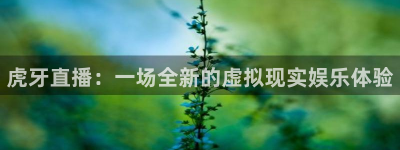 114624直播：虎牙直播：一场全新的虚拟现实娱乐体验