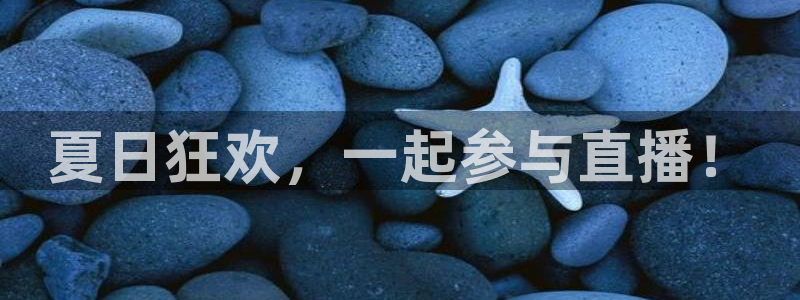24直播网看球：夏日狂欢，一起参与直播！