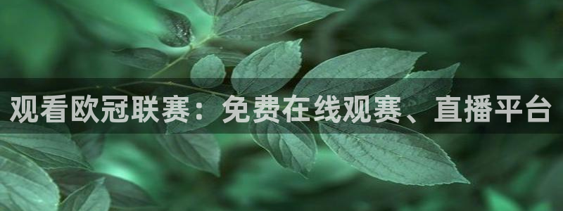 24直播网体育直播：观看欧冠联赛：免费在线观赛、直播平台