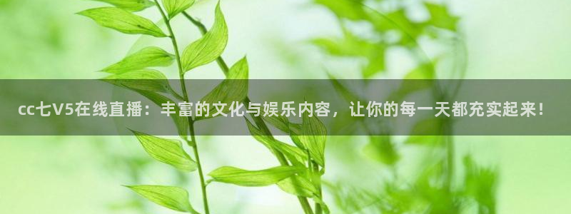24直播我：cc七V5在线直播：丰富的文化与娱乐内容，让你的每一天都充实起来！