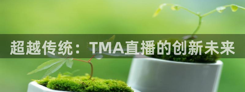 24直播足球直播：超越传统：TMA直播的创新未来