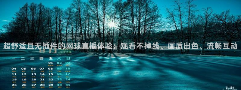 24直播网看球：超舒适且无插件的网球直播体验：观看不掉线、画质出色、流畅互动