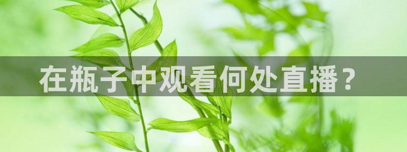 24直播网：在瓶子中观看何处直播？